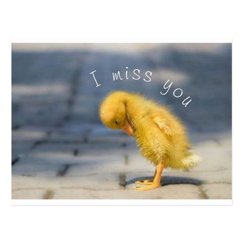 I Miss You Cute Pics, Send To Him, I Miss You Cute, Hello Quotes, Miss You Funny, Missing You Quotes For Him, Remembering Dad, I Miss My Mom, Special Friend Quotes