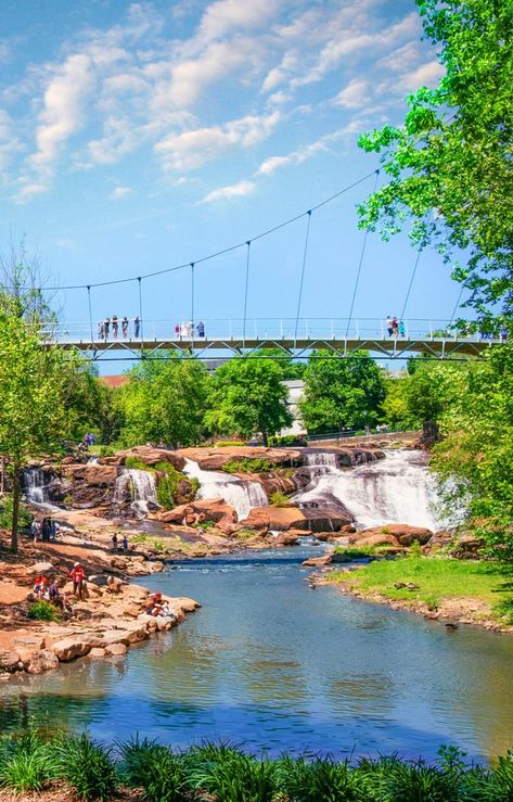 South Carolina Hiking, Jones Gap State Park, Eco Logo Design, South Carolina Vacation, South Carolina Travel, Fall Creek, Chasing Waterfalls, Greenville South Carolina, Falls Creek