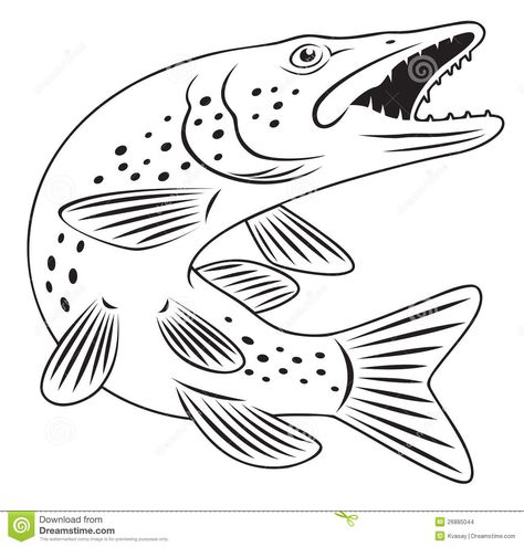 Pike Fish Stock Images - Image: 26885044 Pike Fish, Wood Burning Stencils, Easy Drawing Steps, Fish Coloring Page, Fish Stock, Bird Coloring Pages, Wood Burning Patterns, Fish Drawings, Wood Burning Art