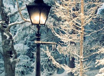 Narnia lamp post. What we need to put in our garden somewhere.., someday... Chronicles Of Narnia Lamp Post, Narnia Fan Art, Narnia Lamp Post, Beautiful Winter Scenes, The Chronicles Of Narnia, Old Lamps, Chronicles Of Narnia, Two Brothers, Winter Scene