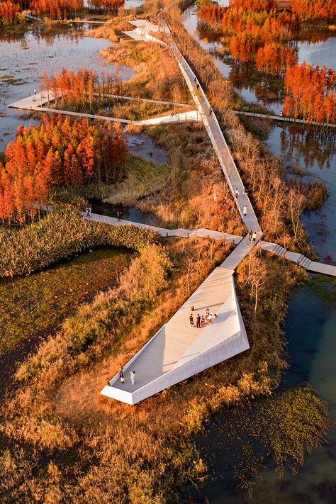 Aztec Chinampas, Floating Forest, Storm Water, Underwater Plants, Architecture School, Dumping Ground, Landform, Floating Garden, Urban Landscape Design