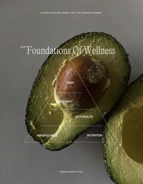 A foundation of wellness is a fundamental aspect of health that supports and enhances overall physical, mental, and emotional well-being. We have chosen our five foundations that build the perfect support for your health and wellness.⁠ ⁠ Each of these key foundations—plays a crucial role in maintaining overall wellness by contributing to the body's and mind's optimal functioning and resilience.⁠ #seraandmattina #probioticsupplements #probioticsolutions Wellness Content Pillars, Components Of Wellness, Wellness Assessment, Gut Health Books, Brain Gut Connection Mental Health, Probiotics Supplement, Mental Strength, Emotional Wellness, Probiotics