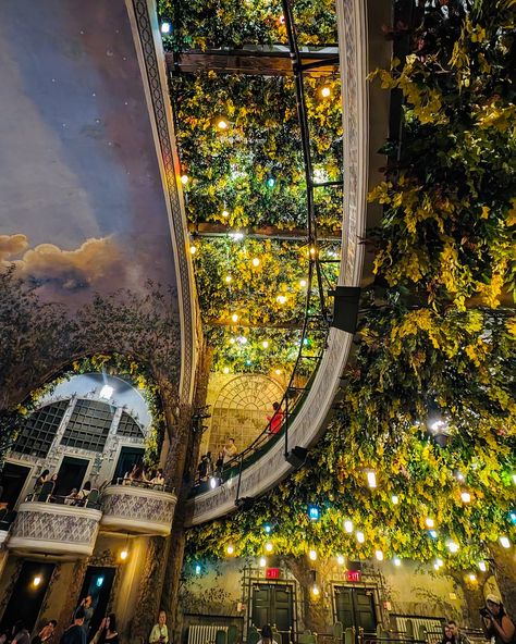 📍 Elgin and Winter Garden Theatre Two interesting facts about the Winter Garden Theatre 1. Winter Garden Theatre has a whimsical garden theme with **hand-painted walls** and a ceiling adorned with real beech branches and lanterns. 2. During the restoration period, they used the flour dough to clean the walls in order to prevent any possible damage. Open day Photos dump (1/4) #toronto #torontolife #torontobuildings #torontoarchitecture #torontohistory #elginandwintergardentheatre #winte... Photos Dump, Toronto Architecture, Winter Garden Theatre, Open Day, Toronto Life, Painted Walls, Hand Painted Walls, Whimsical Garden, Garden Theme