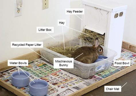 Bunny area with litter box, food dishes, and hay feeder Indoor Rabbit Cage, Bunny Supplies, Rabbit Pen, Rabbit Enclosure, Pet Rabbit Care, Puppy Pens, Rabbit Litter, Rabbit Litter Box, Bunny Hutch