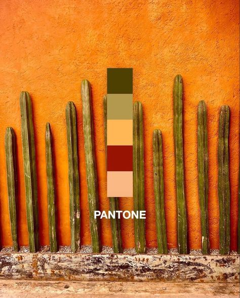 Mexican Decor Aesthetic, Oaxaca Decor, Oaxaca Mexico Aesthetic, Mexico Aesthetic Vintage, Mexican Restaurant Aesthetic, Mexico Moodboard, Mexican Color Palette, Mexican Graphic Design, Modern Mexican Home Decor