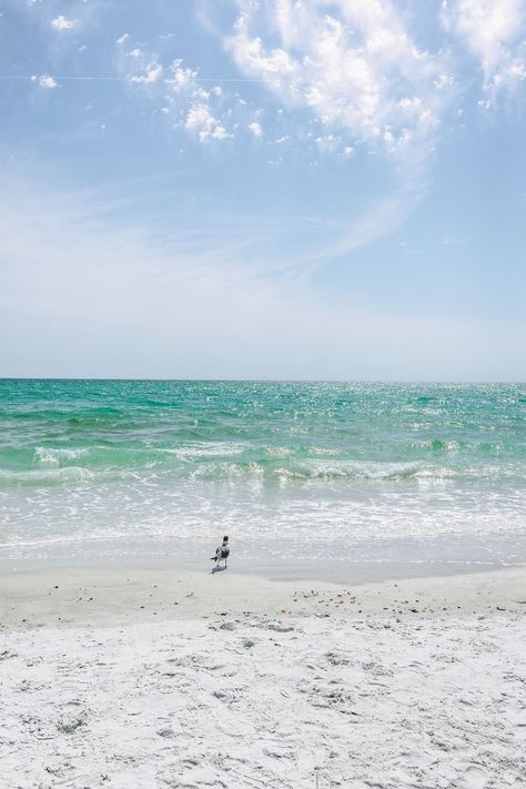 St. Pete, Florida is one of the best places to do a girl's trip. In this article, discover the best things to do during a girl's weekend in St. Petersburg, FL from the beach to the downtown area including the best places to eat in St. Petersburg and the best things to do in St. Petersburg Florida. | st petersburg florida girls trip | st pete beach girls trip | st pete girls trip | st pete girls weekend | best things to do in st pete beach fl | best things to do in st petersburg florida Florida Girls Trip, Beach Girls Trip, Mindful Travel, St Pete Florida, Best Weekend Getaways, Beach Cabana, St Pete Beach, Florida Girl, St Petersburg Fl