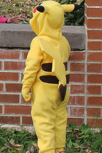 Pikachu Costume Back | Homemade by me | flutterbug79 | Flickr Pokemon Costumes For Boys, Pikachu Costume Kids, Pikachu Costume Diy, Pokemon Halloween Costumes, Charizard Costume, Pikachu Halloween Costume, Halloween Costumes For Boys, Pokemon Halloween Costume, Halloween Pokemon