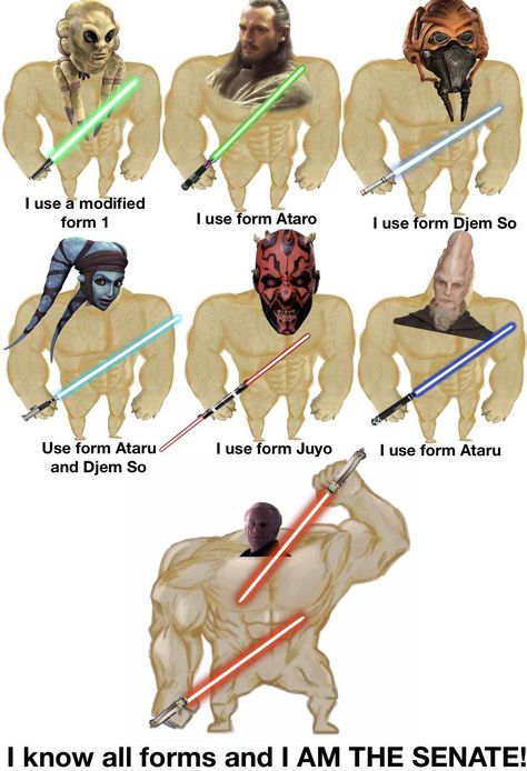 Star Wars Lightsaber Forms, Jedi Forms, Star Wars Jedi Art, Lightsaber Forms, Sith Lightsaber, Star Wars Lightsaber, Star Wars Villains, Funny Star Wars Memes, Star Wars Sith