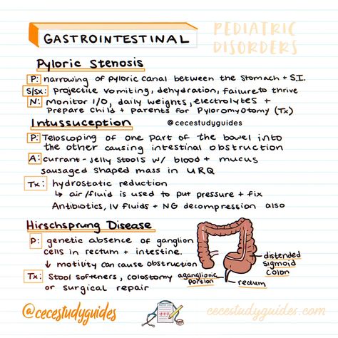 Pediatric disorders 101: Your illustrated guide to common diagnoses. Every future nurse needs this cheat sheet! 🩺👶 #nursingstudent #pediatrics #studygram Pediatric Disorders Nursing, Gi Disorders Nursing, Pediatrician Aesthetic Notes, Pediatric Gi Disorders Nursing, Pediatric Nursing Study Guide, Pediatric Nursing Study Cheat Sheets, Nursing Pediatrics Cheat Sheets, Pediatric Nursing Notes, Gi Nursing