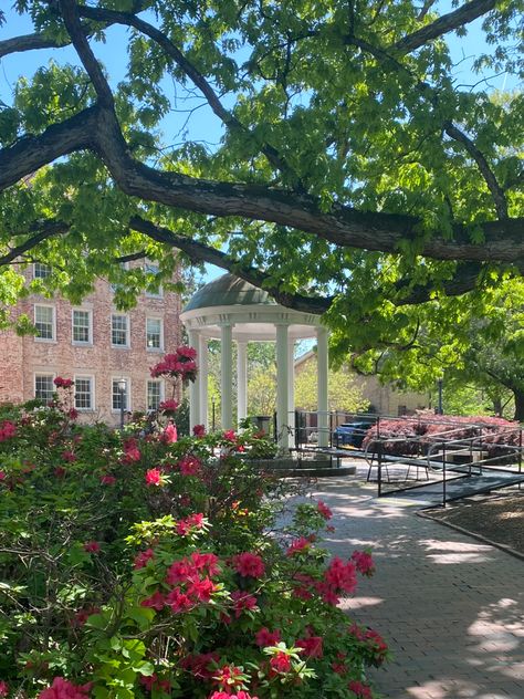 Unc Wilmington Aesthetic, Uncw Aesthetic, Chapel Hill Aesthetic, Unc Chapel Hill Aesthetic, Manifesting University, Unc Aesthetic, Unc College, Unc Wilmington, North Carolina Chapel Hill