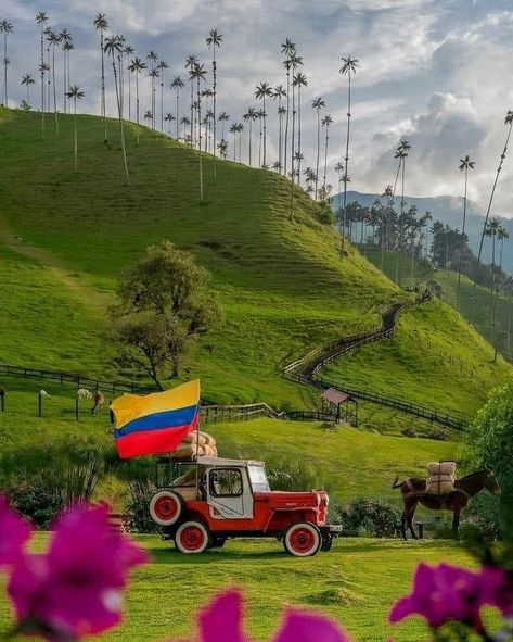 Columbia Medellin, Colombia Landscape, Columbia Country, Colombian Culture, Trip To Colombia, Vision Board Images, Colombia Travel, Cali Colombia, American Road Trip