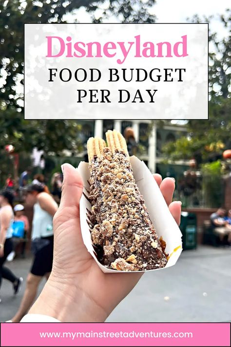 Disneyland Food Budget: How Much you'll Spend Each Day - Disneyland Planning Tips Food In Disneyland, Disneyland Snacks To Pack, Disneyland Food 2024, Disneyland Budget, Food At Disneyland, Disneyland Dining, Disneyland Snacks, Disneyland Vacation Planning, Cheap Snack