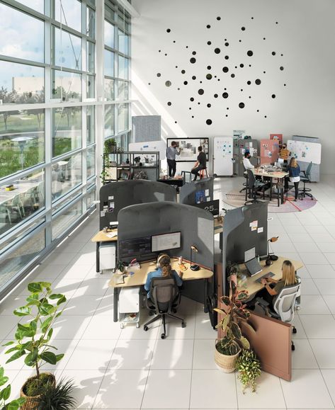 Workplace Design Office, Pavilion Furniture, Steelcase Office, Office Furniture Layout, Fabric Covered Walls, Davis Furniture, Office Workstations, Office Furniture Design, Boutique Interior