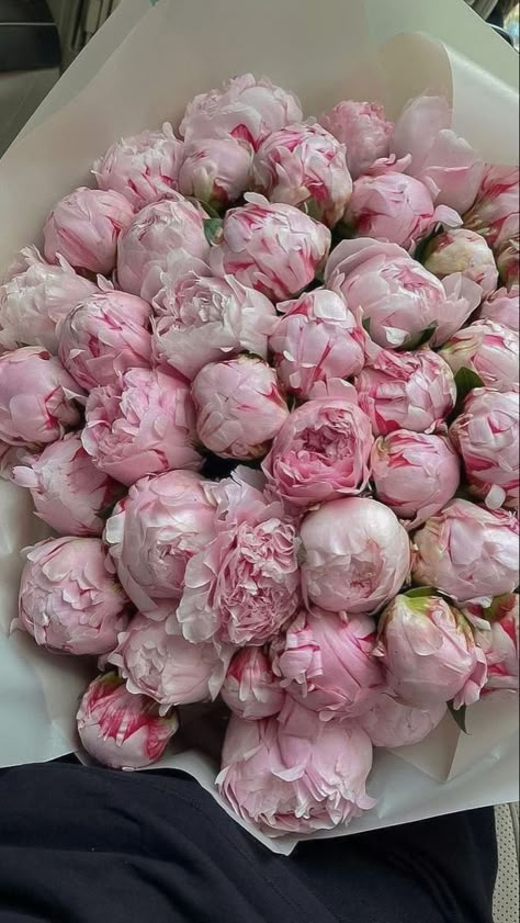 Nothing But Flowers, Peonies Bouquet, Flower Therapy, Beautiful Bouquet Of Flowers, Luxury Flowers, Beautiful Bouquet, Pink Peonies, Love Flowers, My Flower