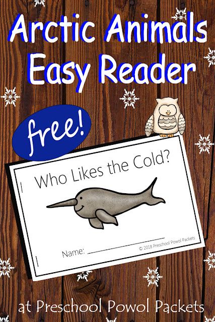 Polar Animals Kindergarten Activities, Arctic Animal Lesson Plans For Preschool, Arctic Activities For Preschool, Polar Bear Facts Preschool, Kindergarten Arctic Animals, Arctic Fox Crafts, Arctic Animals Preschool Activities Free Printables, Arctic Animals Printables, Arctic Animals Preschool Activities