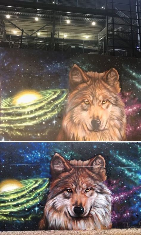 Mexican Grey Wolf Mural by Jesus "CIMI" Alvarado at El Paso Convention And Performing Art Center Wolf Mural, Mexican Grey Wolf, Garage Murals, Mexican Gray Wolf, Indoor Mural, Living Room Paintings, Wolf Painting, Unique Living Room, Room Paintings