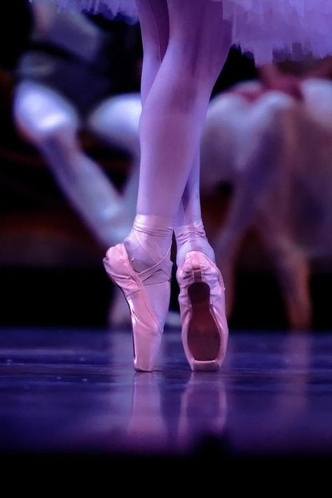 Purple Ballet Shoes, Ballerina Photography, Psalm 149, Dance Fever, Perfect Bun, Ballet Beauty, World Dance, Ballet Photos, Fitness Art