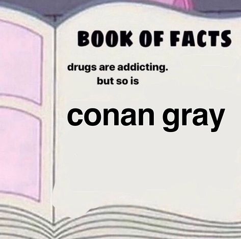 Ligma Balls, Conan Gray Aesthetic, Deez Nuts, Digital Footprint, Gray Aesthetic, Taylor Swift Songs, Conan Gray, Coping Mechanisms, Love You More Than