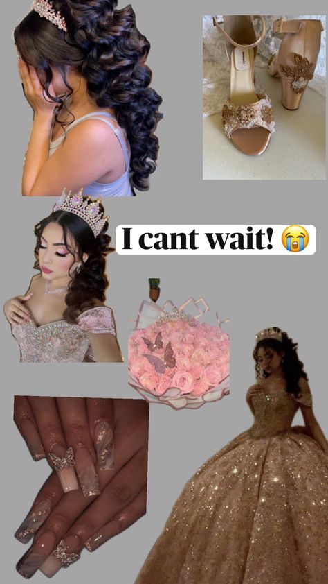 Quinceanera Winter Wonderland, Xv Dresses, Mexican Quinceanera, Quinceanera Pink, Mexican Quinceanera Dresses, Quinceanera Themes Dresses, Quinceanera Photoshoot, Pink Quince, Quinceanera Planning