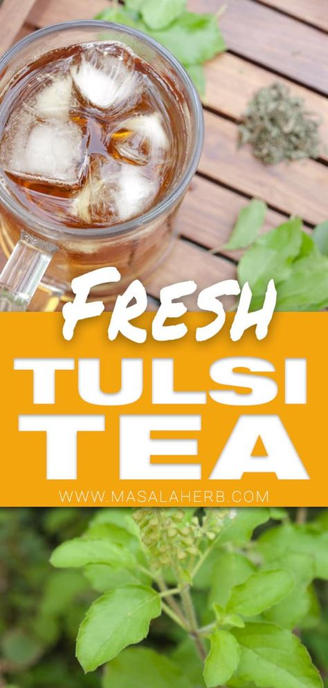 Holy Basil Benefits, Holy Basil Tea, Tulsi Leaves, Diy Lotions, Pepper Mint, Basil Tea, Turmeric Ginger Tea, Tulsi Tea, Energy Bars Recipe