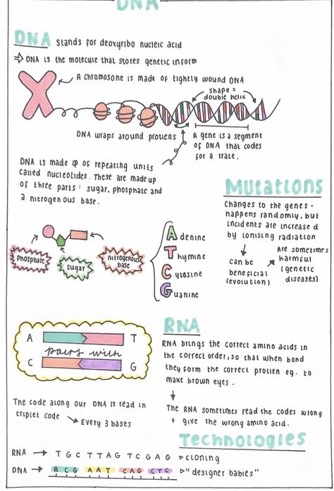 Dna Structure Notes, Transcription Notes, Uni Notes, Biochemistry Notes, Learn Biology, Nurse Study, Basic Anatomy, Biology Revision, Molecular Genetics