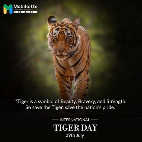 International Tiger Day... #International_Tiger_Day #Wild_Life #Nature July Themes, Thailand Quote, International Tiger Day, Tiger Day, Save The Tiger, Vet Med, Design Your Kitchen, Life Nature, Zoology