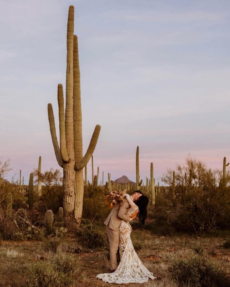 📍 Now booking in ARIZONA with NO TRAVEL FEES for all of March + April of 2025 🏜️ 🌵 Desert Elopement Arizona, Tuscan Arizona, Superstition Mountains Arizona, Red Rock Wedding, Outdoorsy Wedding, Mountain View Weddings, Sunset Elopement, Arizona Elopement, Saguaro National Park