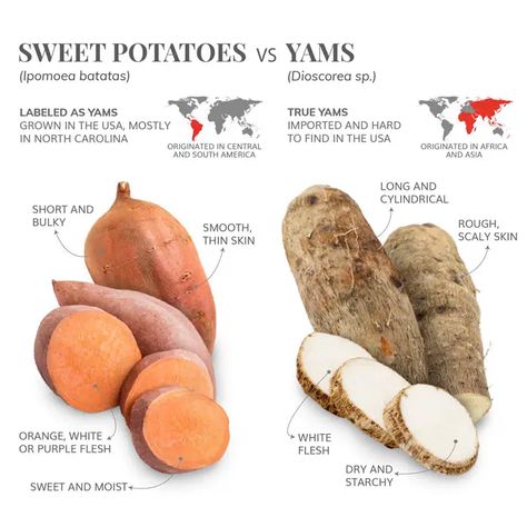 Potato Recipes Aesthetic, African Sweet Potato Recipes, Types Of Sweet Potatoes, African Yams Recipe, Permaculture Layout, Potato Aesthetic, Calories Chart, Taste Atlas, Floyd Leg