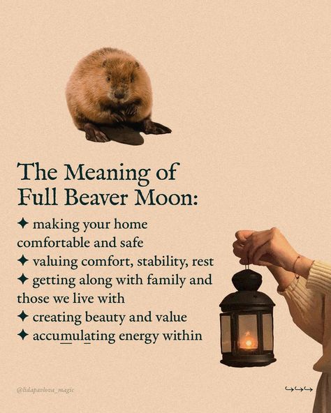 Astrologically, we are all having the same Full Moon all over the globe. But in terms of seasonal magic, it’s very different: here, in Serbia, I’m having spring, but some of my audience are experiencing autumn — if they live in the Southern Hemisphere. Seasonal magic is the art of feeling your land’s seasons, one Moon month after another — and doing your craft accordingly🌙 The names, such as Beaver Moon for this particular Full Moon, can be optional and change from one tradition to another... Beaver Full Moon Tarot Spread, Beaver Full Moon Ritual, Beaver Moon 2024, Beaver Moon Ritual, Beaver Full Moon, Autumn Full Moon, Full Moon Taurus, Taurus Full Moon, Witchcraft Inspiration