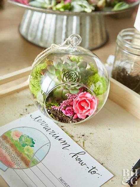 Terraria Party, Handmade Party Favors, Small Terrarium, Simple Birthday Party, Beautiful Terrariums, Party Favors For Adults, Diy Party Favors, Easy Birthday, Succulent Gifts