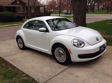 2014 Volkswagen Beetle #bug 2018 Volkswagen Beetle, 2014 Beetle Volkswagen, 2014 Volkswagen Beetle, White Volkswagen Beetle, 2015 Volkswagen Beetle, Beetle Girl, Car Vibes, Beetle 2012, Car Things