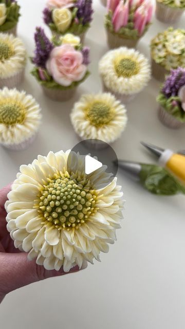 Daisy Cupcake Tutorial, Cupcake Frosting Tutorial Videos, Daisy Buttercream Flowers, How To Make Flowers Out Of Frosting, Buttercream Daisy Tutorial, Flower Design Cupcakes, How To Make Flowers On Cupcakes, Buttercream Floral Cupcakes, Spring Floral Cupcakes