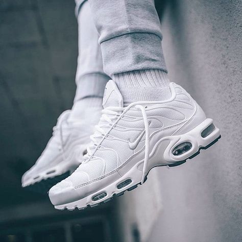 4,433 Likes, 15 Comments - only tns💯 (@niketnn) on Instagram: “Follow-@niketnn ✔️ Follow-@niketnn ✔️ . .  Tag us or use the #niketnn for chance to feature 📸…” Nike Air Max Tn, Nike Air Max Plus, Air Max Plus, Air Max 95, Women Trends, Air Max, Nike Air Max, Nike Air, Nike