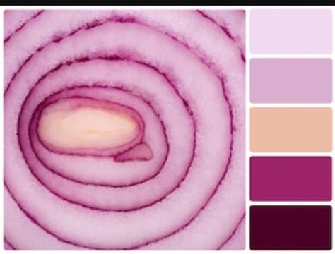 Colours Onion Colour, Colour Pantone, Colour Swatches, Color Schemes Colour Palettes, Red Plum, Color Palette Design, Complimentary Colors, Aesthetic Colors, A Background