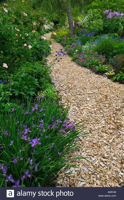 Download this stock image: Wood chip path at Northwest Garden Nursery Eugene Oregon - A09Y49 from Alamy's library of millions of high resolution stock photos, illustrations and vectors. Wood Chip Garden Path, Wood Chip Walkway, Cedar Wood Chips Landscaping, Wood Chip Pathway, Bark Pathway Garden Paths, Woodchips Garden Landscaping, Wood Chip Patio, Mulch Garden Path, Woodchip Pathways