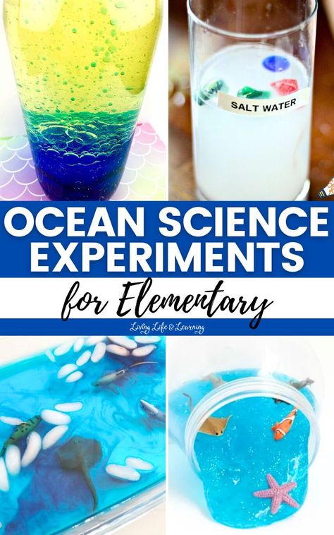 These Ocean Science Experiments for Elementary make homeschool learning about our oceanic friends an unforgettable adventure! Science Experiments For Elementary, Ocean Science Experiments, Climate Activities, Elementary Science Experiments, Biology For Kids, Chemistry For Kids, Homeschool Science Curriculum, Unit Studies Homeschool, Middle School Activities