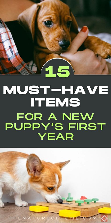 Ensure your new puppy has everything they need for a great first year with these 15 must-have items. Our guide includes training aids, comfort items, and more. Save this pin for later and be prepared for your new addition. Click to explore the essential puppy starter kit! Christmas Surprise Ideas, Puppy For Christmas, Puppy Starter Kit, Comfort Items, Puppy Pads Training, First Dog, Puppy Proofing, Teething Relief, Leash Training