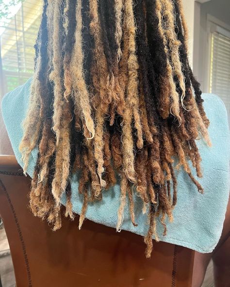 Shaniya 💓 on Instagram: “I Love Some Colorrrrr 😍 My Client Wanted More Highlights In His Locs So I Gave Him Just That 🤪 !!! & I Trimmed A Little Off The Ends To…” Dread Highlights, Highlights In Locs, Brown Locs With Blonde Highlights, Black Locs With Blonde Highlights, Highlighted Locs, Blonde Loc Highlights, Black Locs With Highlights, Locs With Brown Highlights, Blonde Highlights Locs