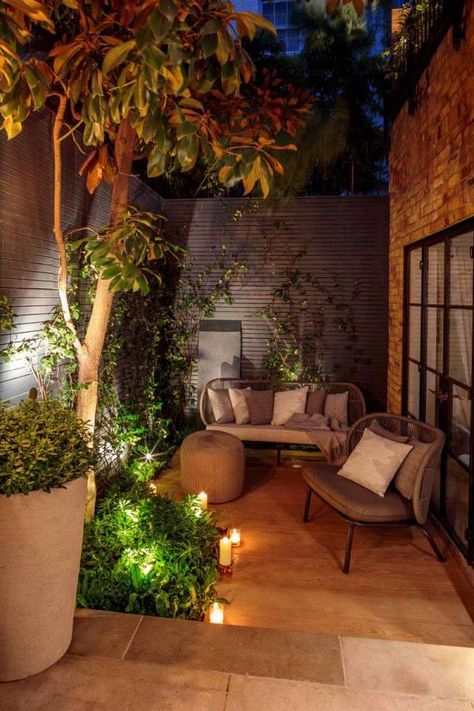 Chelsea Courtyard Garden - Cameron Small Courtyard Ideas, Covered Courtyard, Chelsea Townhouse, Evergreen Climbers, Courtyard Ideas, Small Courtyard, Courtyard Gardens, Chic Garden, Outside Room