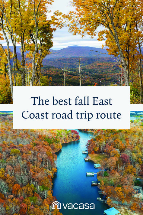 Two views of forests in the fall. Title: The best fall East Coast road trip route Fall East Coast, Maine Road Trip, Fall Road Trip, East Coast Road Trip, Road Trip Routes, East Coast, The Fall, North Carolina, Travel Inspiration