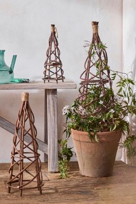 woven willow Wood Obelisk Diy, Twig Art Diy Tree Branches, Garden Trellis Designs, Wire Cloche, Garden Boutique, Obelisk Trellis, Garden Archway, Tree Support, Bamboo Trellis