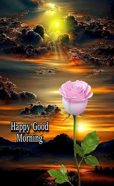 Good Morning Wishes Friends, Good Morning Status, Morning Gifs, Beautiful Good Morning Wishes, Good Morning Krishna, Daily Wishes, Latest Good Morning, Morning Status, Beautiful Good Morning