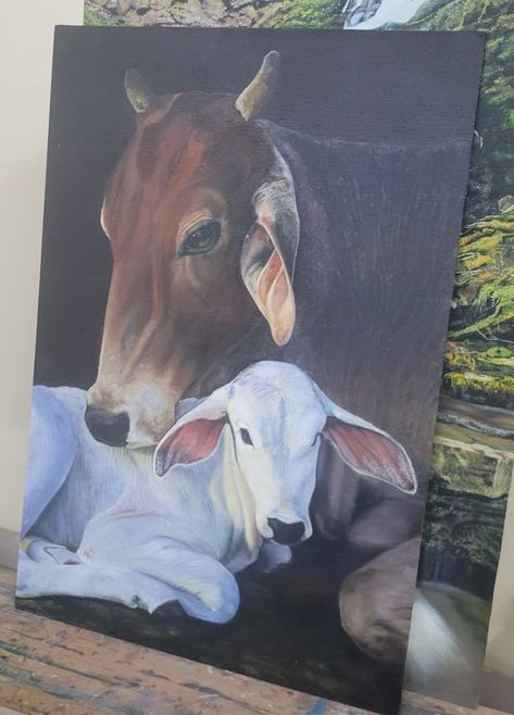 Cow and calf Oil painting Cow And Calf Painting, Cow Oil Painting, Cow Paintings On Canvas, Cow Paintings, Cow And Calf, Cow Drawing, Colorful Canvas Art, Cow Photos, Pretty Paintings