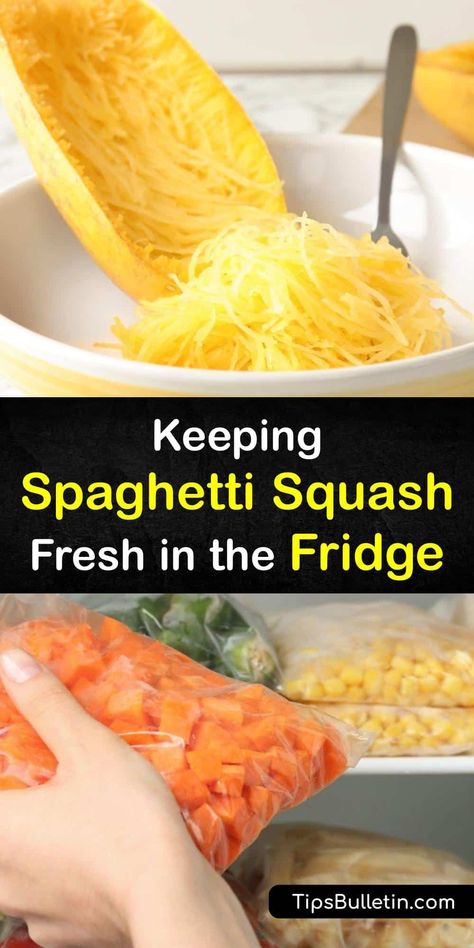 Cook spaghetti squash and prevent it from turning mushy in the fridge with this guide on buying, cooking, and storing winter squash. Learn how to use a freezer bag and plastic wrap to savor the nutty flavor and antioxidants that come from eating squash. #spaghetti #squash #fresh #fridge Storing Spaghetti Squash, How To Store Spaghetti Squash, How To Freeze Squash, Freezing Spaghetti Squash, Baked Spagetti, Spaghetti Squash Microwave, Freezing Squash, Spaghetti Squash Pizza, Squash Spaghetti