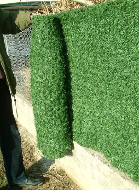 Artificial Grass Design And Ideas For Home Decor || #shorts #shortsfeed #viralshorts #homedecor #homedecorideas short link [https://youtube.com/shorts/rT5gZYPgFSg] Outdoor Grass Wall, Grass Wall Decor, Artificial Grass Patio, Grass Patio, Metal Wall Flowers, Artificial Wall, Artificial Vertical Garden, Artificial Grass Wall, Artificial Green Wall