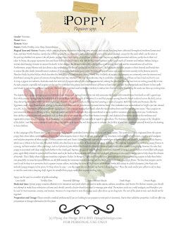 Poppy Seed Magical Properties, Flower Witchcraft, Witch Ingredients, Herbal Journal, Uses Of Plants, Pagan Grimoire, Herbs And Uses, Herbal Grimoire, Healing Goddess