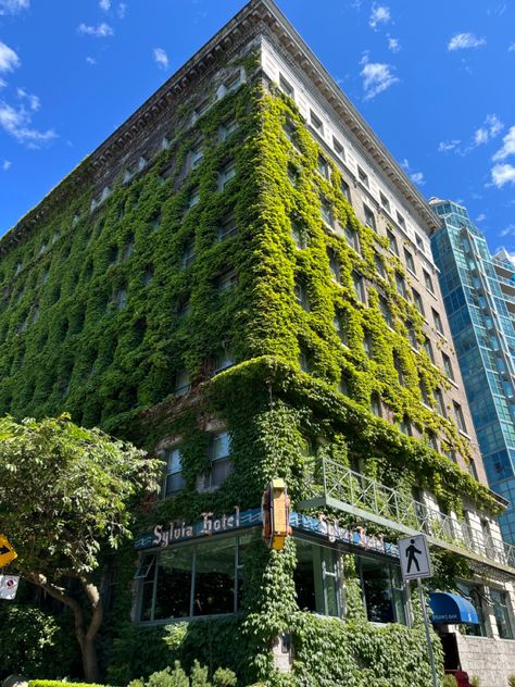 beautiful bright, green vines growing on a unique corner side building Plant City Aesthetic, City Covered In Plants, Green Urban Design, Green Building Aesthetic, Green Vines Aesthetic, City Green Aesthetic, Greenery Building, Green City Aesthetic, Green Urbanism