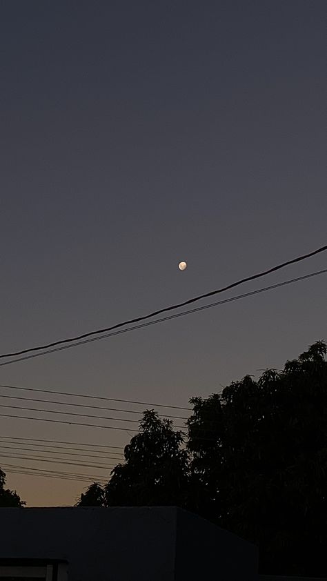 Half Moon Pics Aesthetic, Half Moon Pics, Half Moon Snap, Moon Snap, Moon Pics, Sky Moon, Moon Pictures, Another Love, Animal Jokes