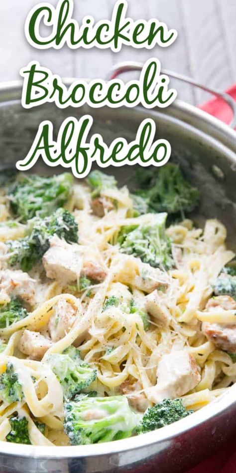 Chicken broccoli Alfredo tastes delicious and creamy, but is a little lighter than most Alfredo recipes!   This recipe is easy and filling too! Chicken Broccoli Fettucini Alfredo, Easy Chicken Broccoli Alfredo, Chicken Broccoli Alfredo Recipe, Chicken Broccoli Fettuccine Alfredo, Chicken Fettucini, Chicken Broccoli Alfredo Pasta, Fettucini Alfredo Recipe, Broccoli Alfredo Pasta, Alfredo Recipes