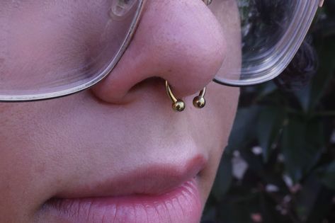 A classic and cute septum piercing with a circular barbell anodized to a golden color ⚡️ Absolutely love this look and always so grateful for the trust especially for septum piercings! Thanks for lookin’ 💛 Cute Septum Piercing, Septum Piercing Gold, Septum Piercings, Circular Barbell, Septum Piercing, Golden Color, Piercings, Gold, Quick Saves